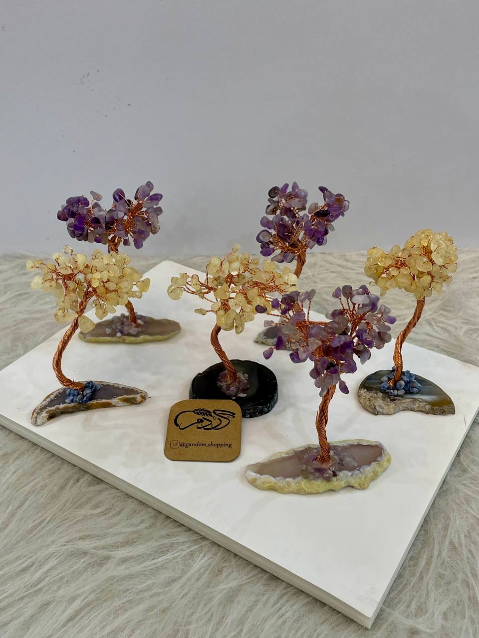 درختچه انرژیتیک